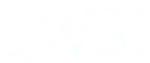 WSI Digital Marketing